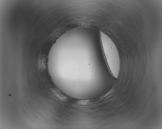 X0000073470090200607281110