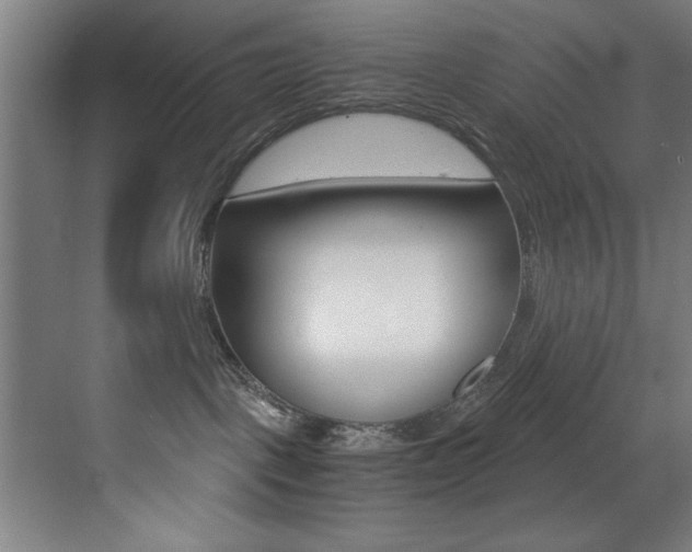 X0000073470093200607281110
