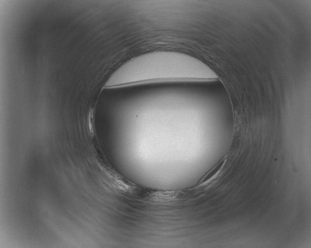 X0000073470094200607281110