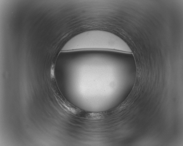 X0000073470095200607281110