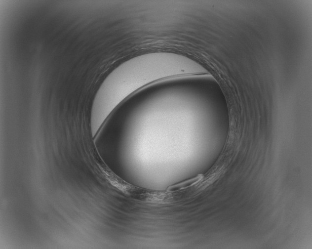 X0000073470096200607281110