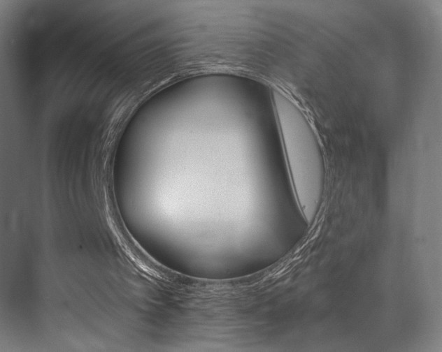 X0000073470097200607281109