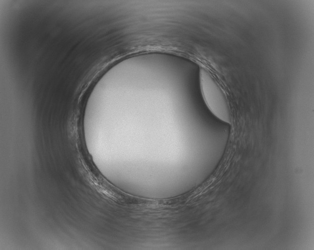 X0000073470098200607281109