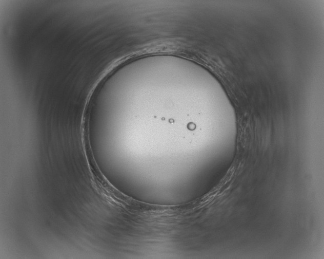 X0000073470100200607281109