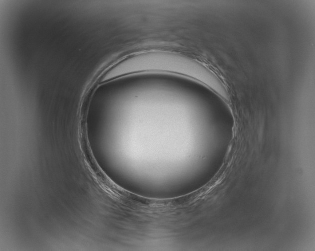 X0000073470101200607281109