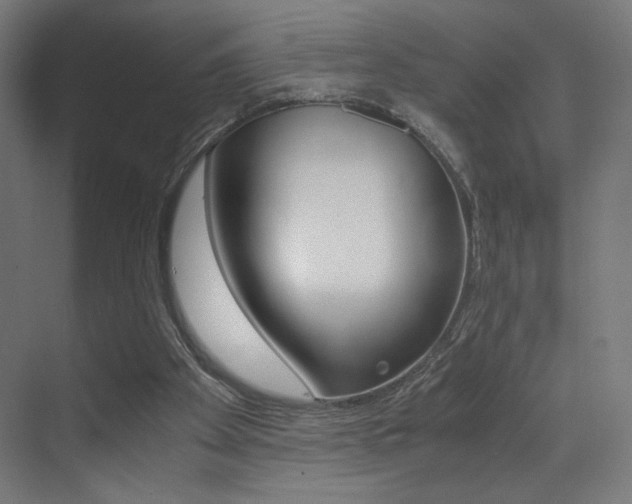 X0000073470105200607281109