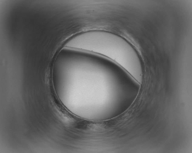 X0000073470107200607281109