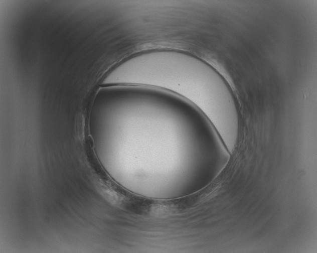 X0000073470109200607281109