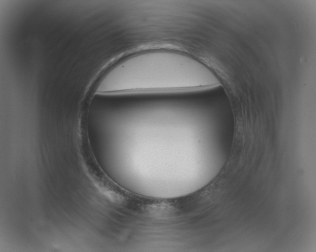 X0000073470112200607281109