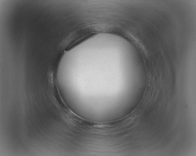 X0000073470117200607281109