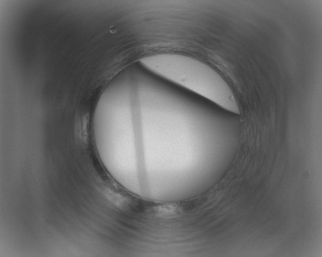 X0000073470118200607281109