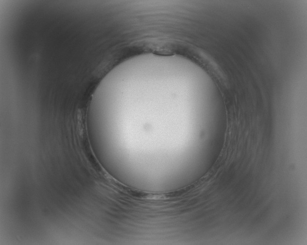 X0000073470121200607281109