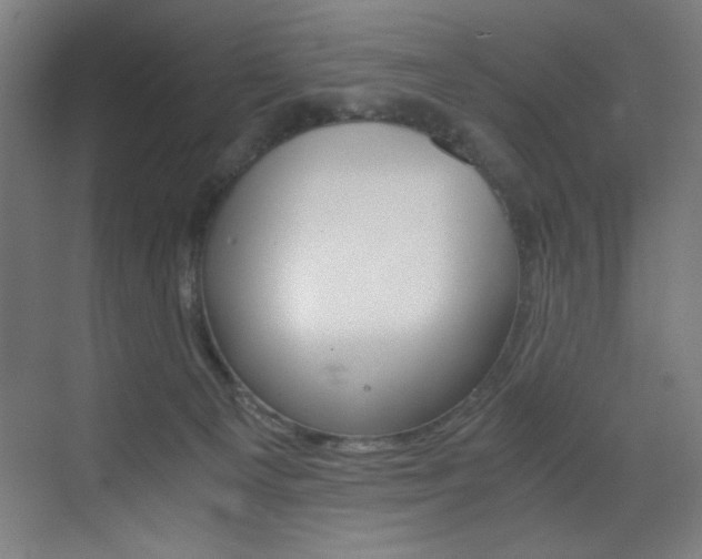 X0000073470129200607281109