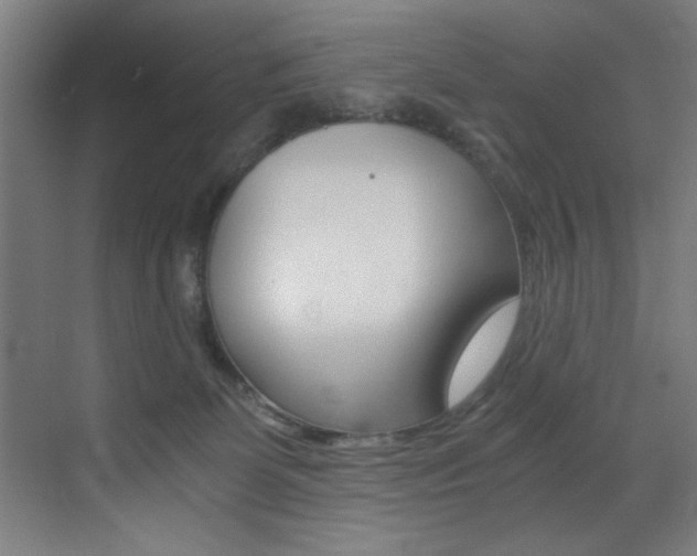 X0000073470131200607281109