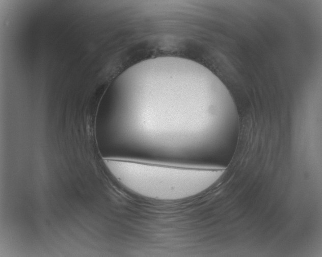 X0000073470135200607281108
