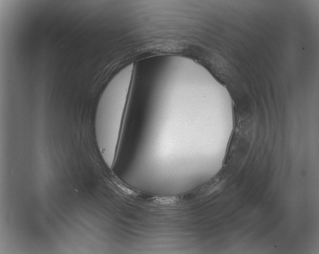 X0000073470143200607281108
