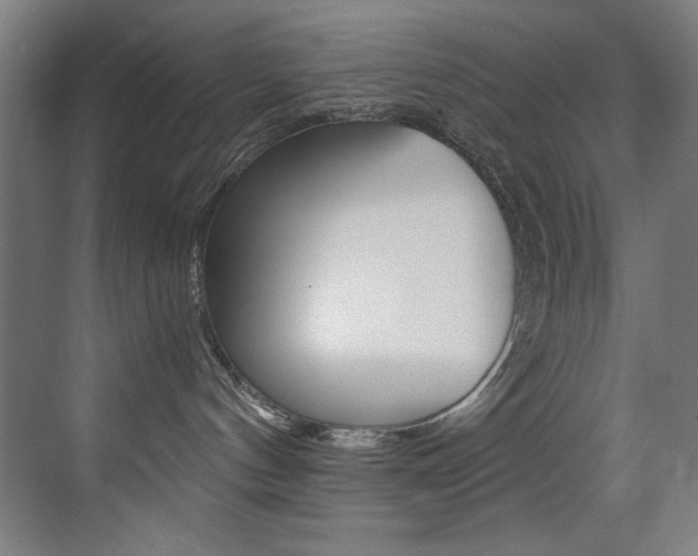X0000073470144200607281108