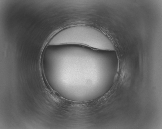 X0000073470147200607281108