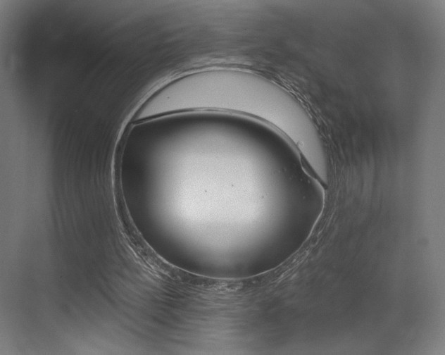 X0000073470148200607281108