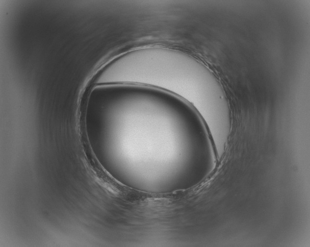 X0000073470150200607281108
