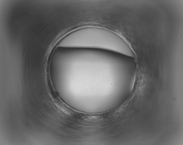 X0000073470151200607281108