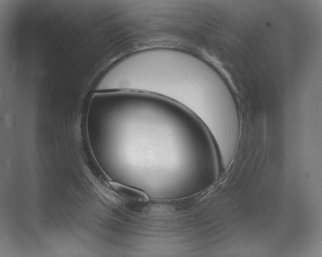 X0000073470154200607281108
