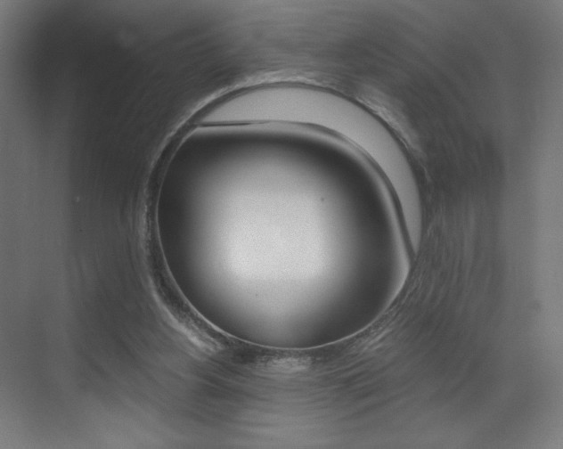 X0000073470156200607281108