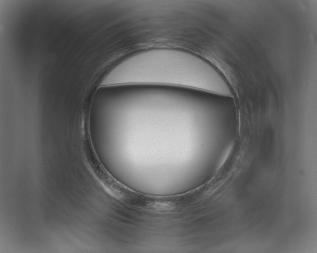 X0000073470157200607281108