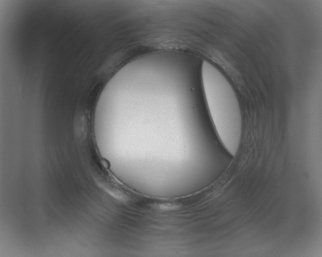 X0000073470165200607281108
