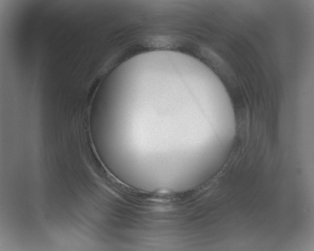 X0000073470167200607281108