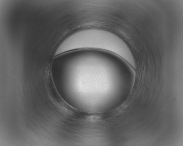 X0000073470168200607281108