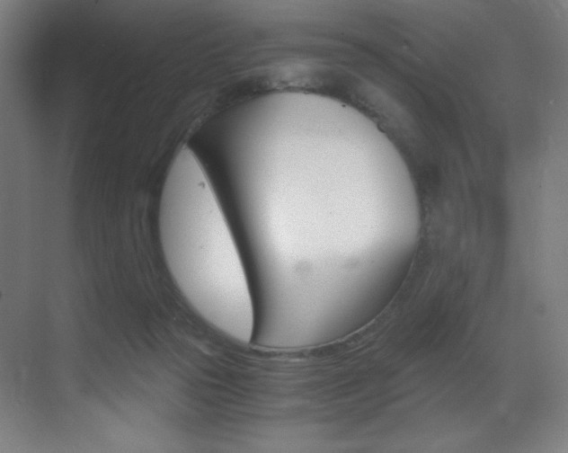 X0000073470169200607281108