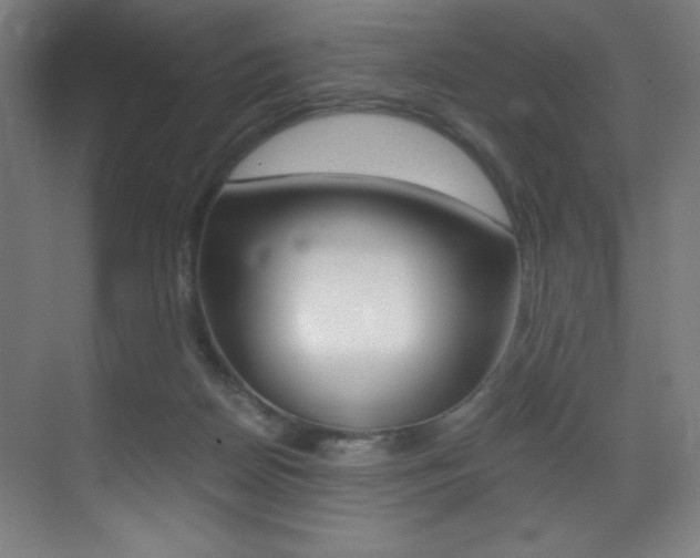 X0000073470170200607281108