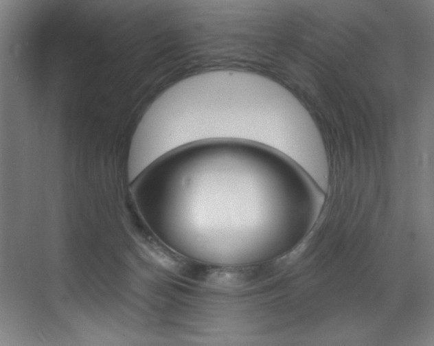 X0000073470174200607281108