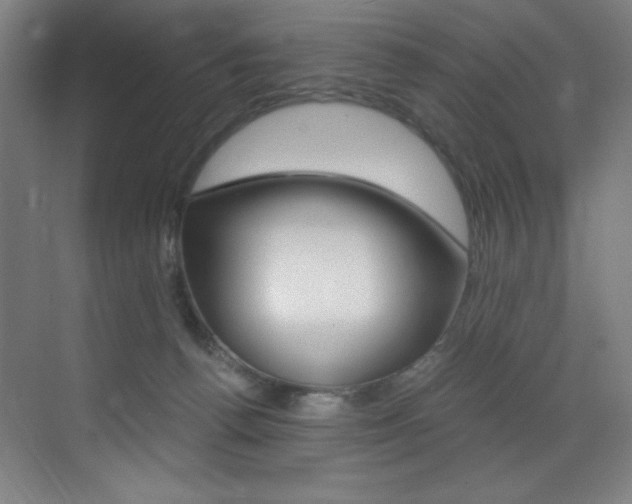 X0000073470176200607281108