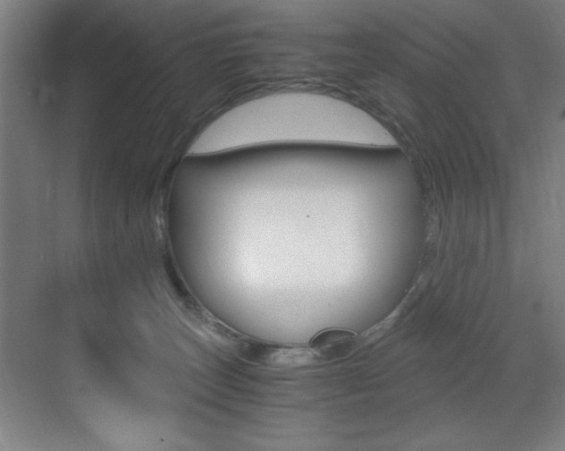 X0000073470179200607281108