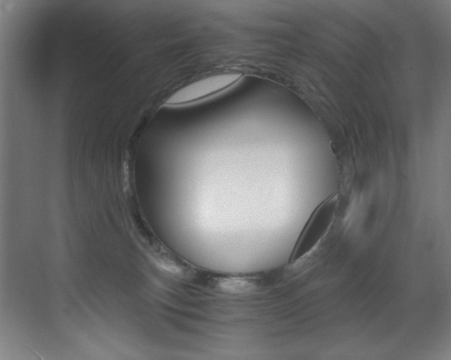 X0000073470183200607281108
