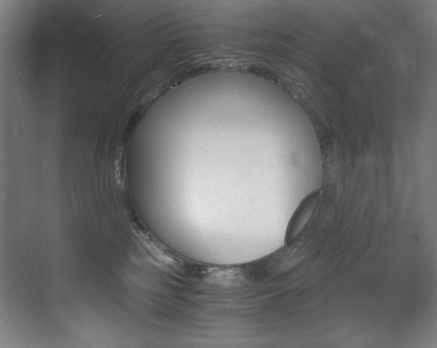 X0000073470185200607281108