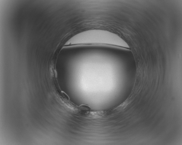 X0000073470188200607281108