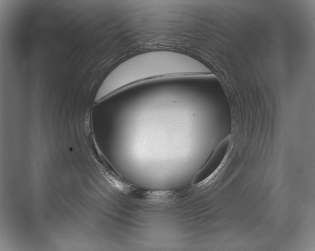 X0000073470192200607281108