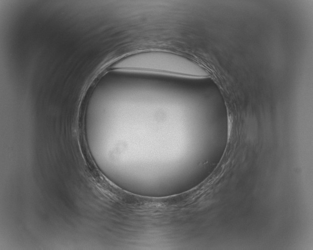 X0000073470195200607281107
