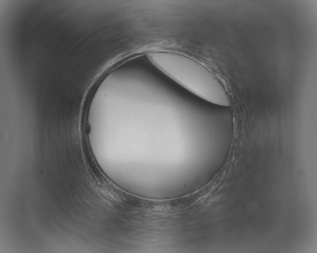 X0000073470196200607281107