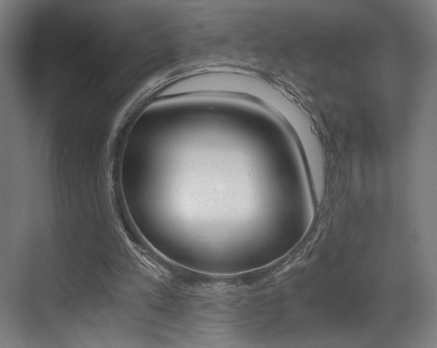 X0000073470197200607281107