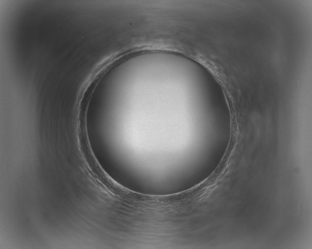 X0000073470199200607281107