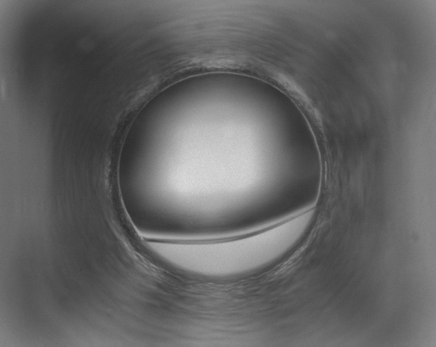 X0000073470201200607281107