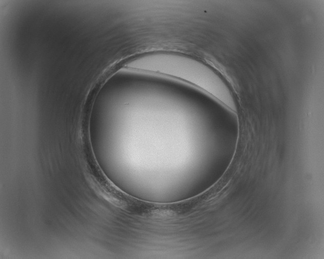 X0000073470203200607281107