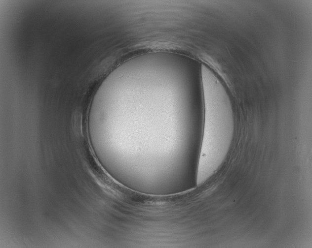 X0000073470205200607281107