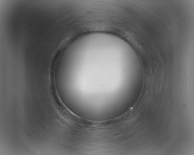 X0000073470207200607281107