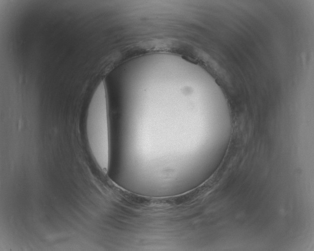 X0000073470209200607281107