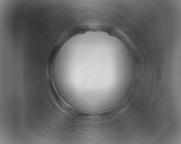 X0000073470213200607281107